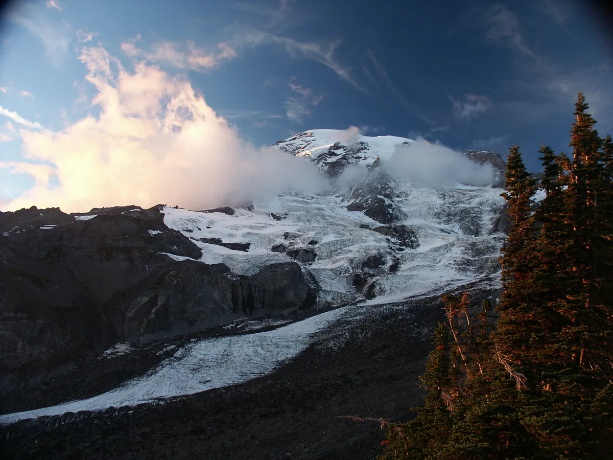 Mount Rainier and the Nisqually Glacier rise above dark evergreen trees at dusk, viewed from Paradise.
